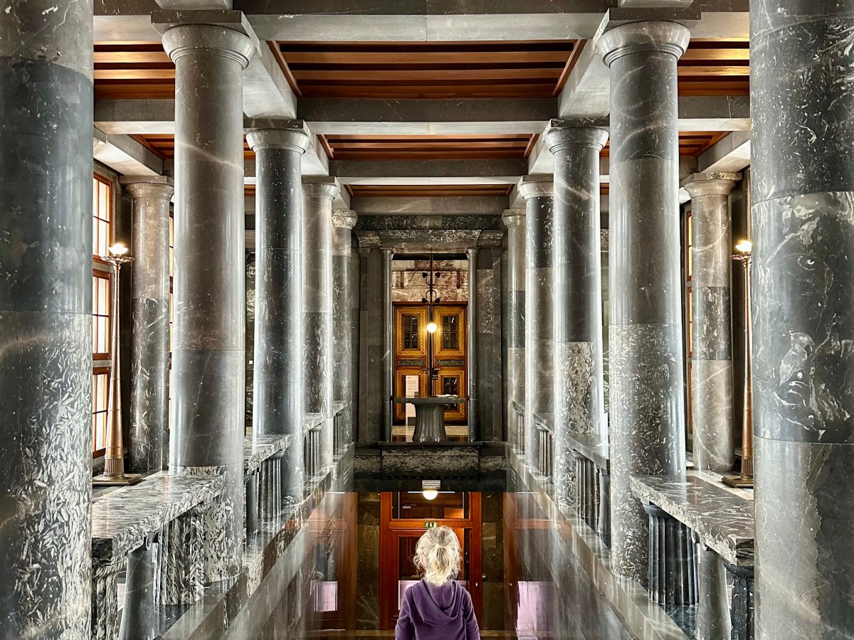 Learning is Where the Light Shines&nbsp;Through